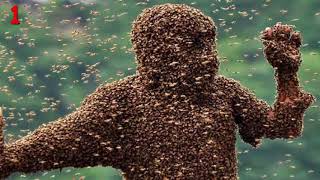 Duymayan Kalmasin Tarihin En Korkunç 6 İşkence Yöntemi