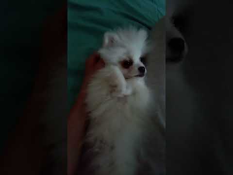 Малыши
