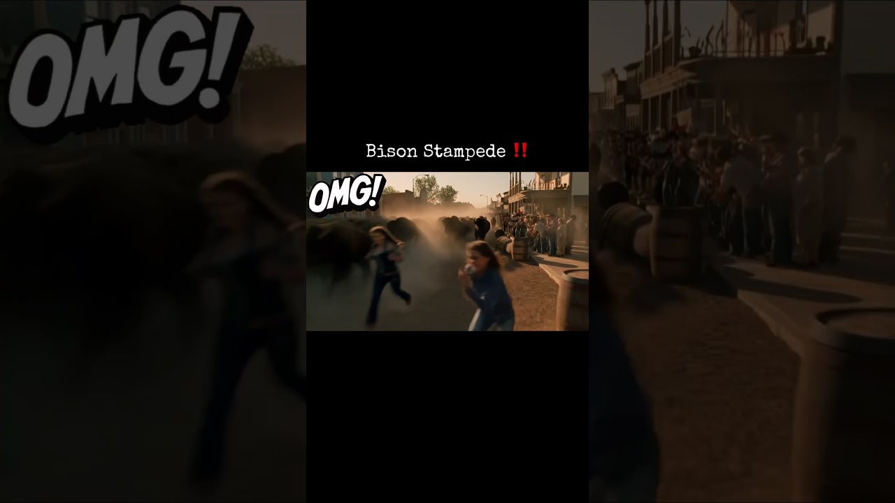 Bison Stampede Footage from Bison Run in Cody, Wyoming. 