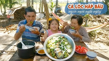 Cá Lóc Hấp Bầu Thơm Ngon Ngọt Ngất Ngây | Góc Miền Tây #123