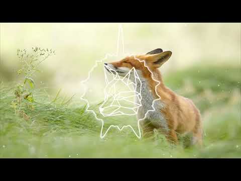 Three Foxes - 1Fox feat Romulo wix , Pedro Shartor