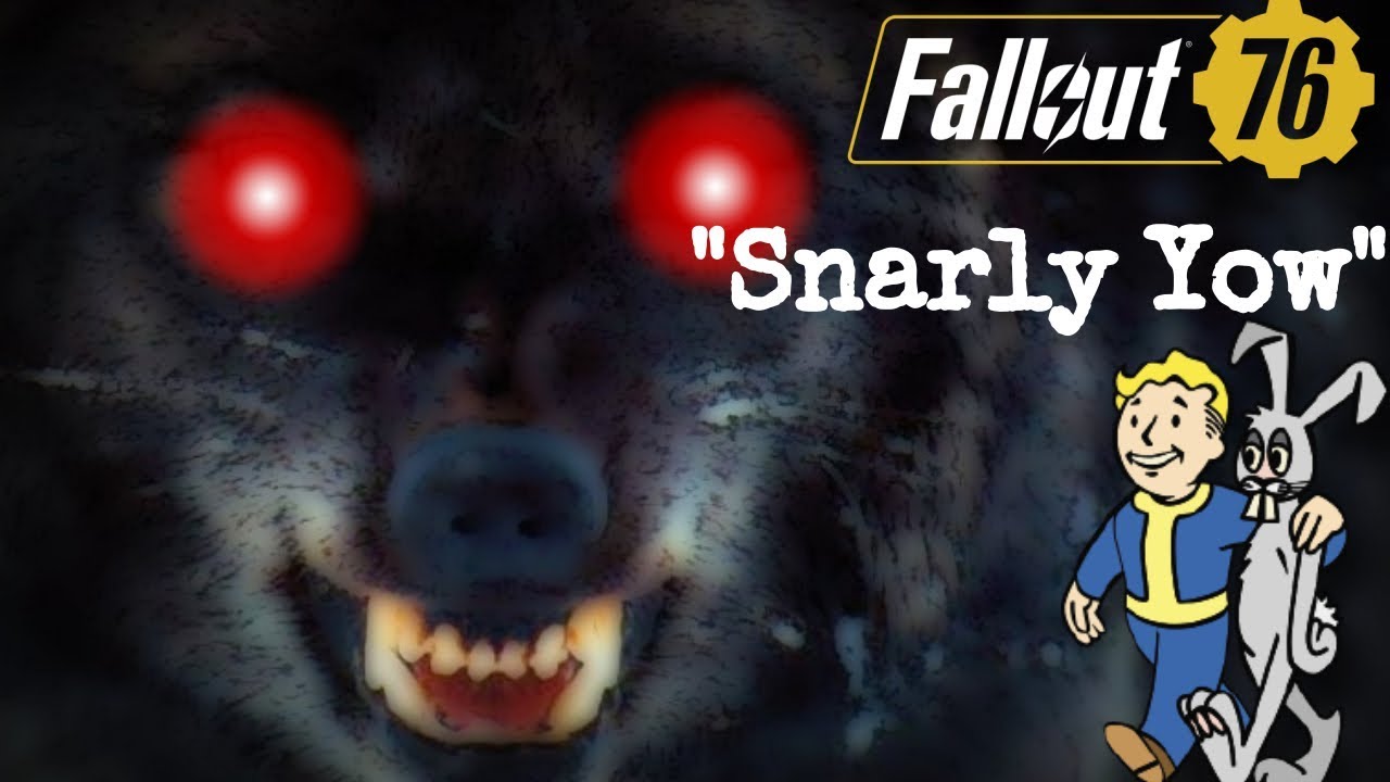 Wasteland Zoology The Snarly Yow Fallout 76 YouTube Wasteland Zoology The Snarly Yow Fallout 76 YouTube