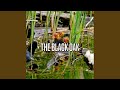 The Black Oak