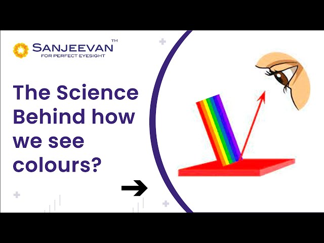 The Science Behind Perfect Eyesight