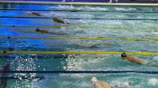 Famous Meeting de Nice ‘21 - 100 vlinder - Ensger Wealth