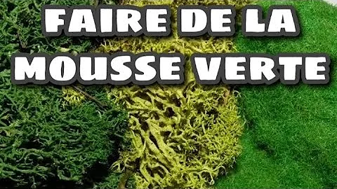 Comment faire pousser de la mousse végétale ?