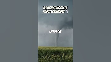 5 interesting facts about tornadoes 🌪️ #facts