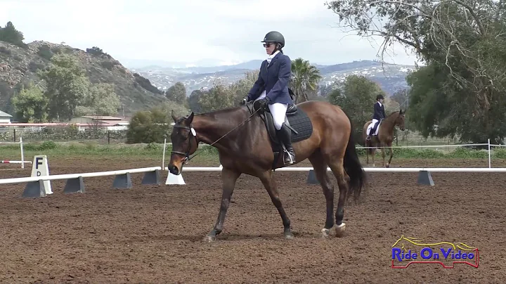 298D Joanne Belonsky on Buck Training AM Dressage Copper Meadows March 2021