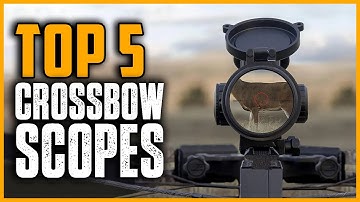 Best Crossbow Scopes 2025 | Top 5 Best Crossbow Scopes For The Money