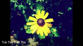 Video thumbnail of "Trái Tim Thật Thà - Lê Hiếu"