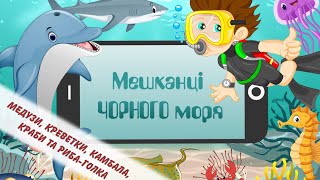 Мешканці Чорного моря (медузи, краби, креветки, камбала, риба голка). Риби Чорного моря. Дітям.