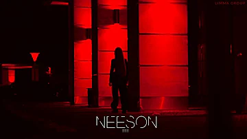 Henry Neeson - Enigma 17