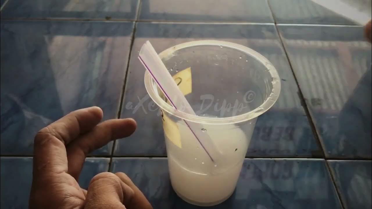 aktivator SPRAY ON CHROME/HYDROCHROME YouTube