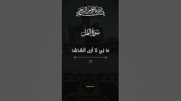 من اجمل الاصوات القارئ فارس عباد سورة النمل #تلاوة_خاشعة #قران_كريم #المصحف #فارس_عباد #quran