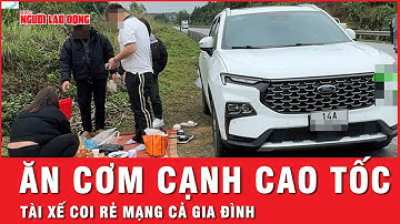 Phạt nặng tài xế dừng xe để cả nhà trải chiếu ngồi ăn cơm bên đường cao tốc | Thời sự