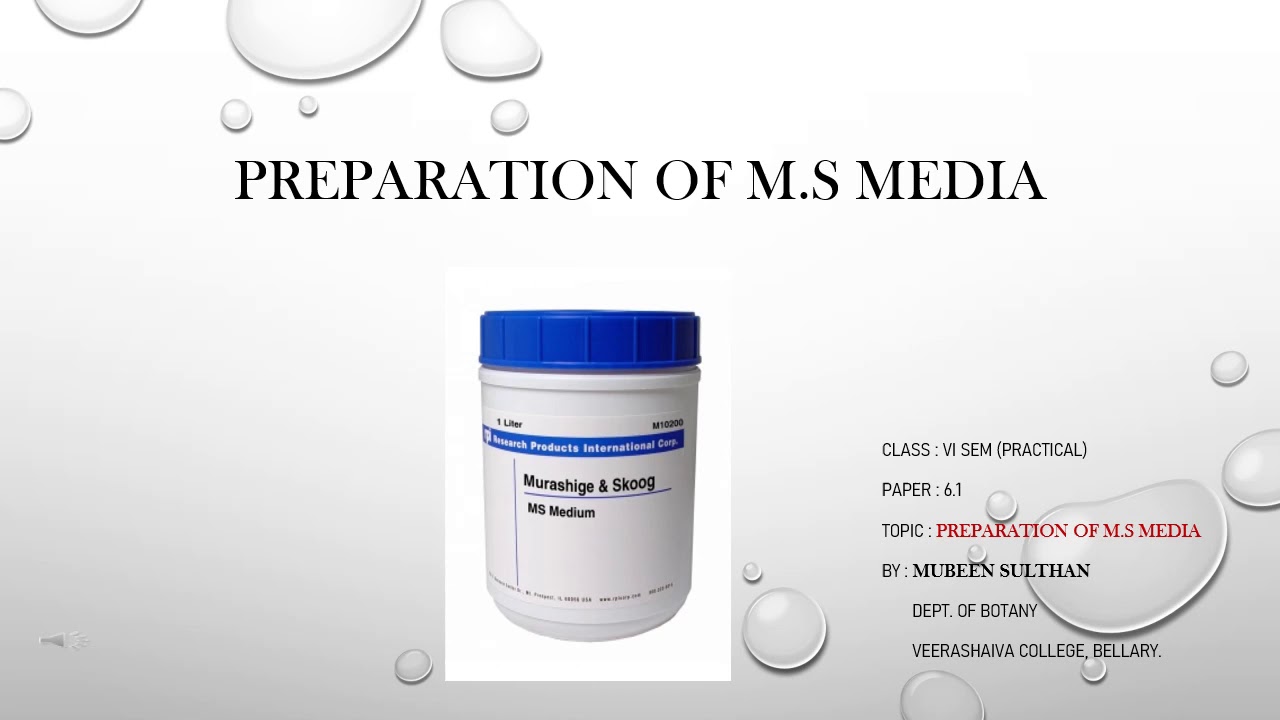 Final year BSc 6.1 Practicals Preparation of M.S media - YouTube