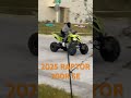 2025 Yamaha Raptor 700R SE Top Speed 🏁