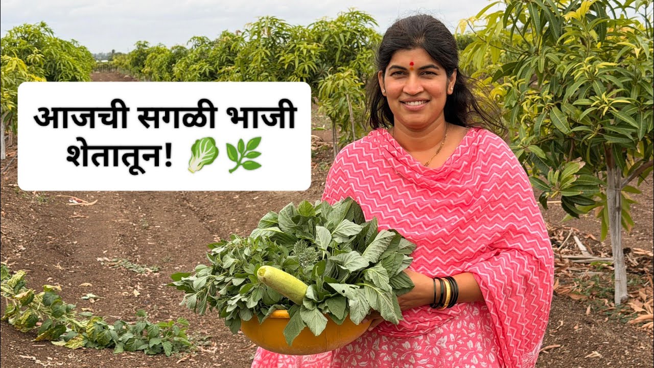 🌧️ पावसाळी सकाळ... शेतात फक्त फेरफटका मारायला गेले आणि टोपलीभर ताजी भाजी घेऊन आले! 🌿😍