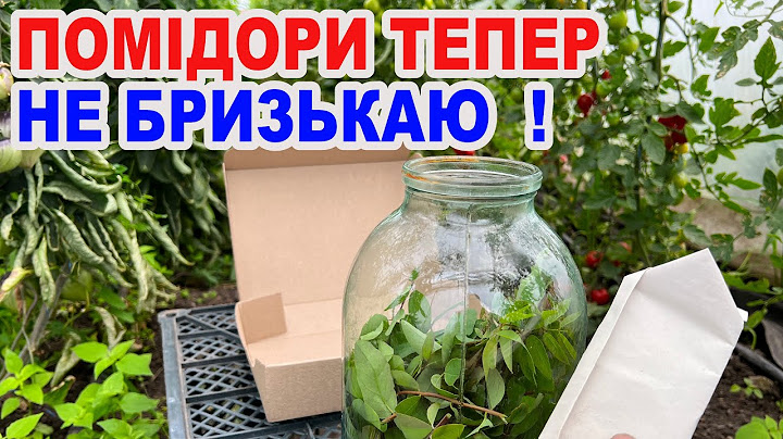 Захист помідорів без хімії ? Спробуй трихограму !