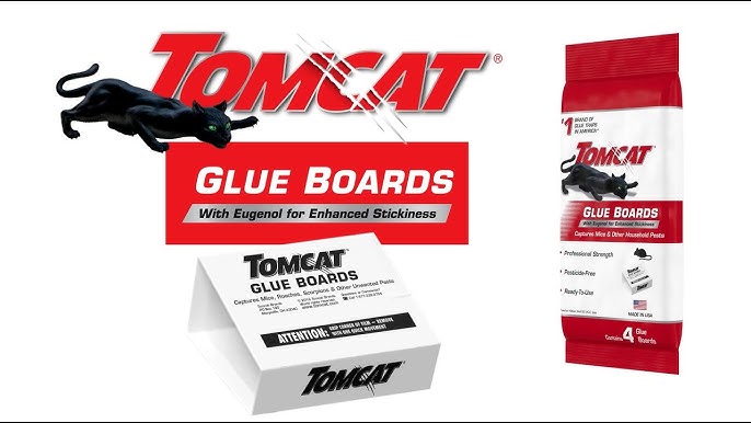 Tomcat Glue Traps Mouse Size with Eugenol for Enhanced Stickiness for Mice,  Cockroaches, and Spiders, 6 Traps