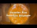 Disaster Risk Reduction Strategies