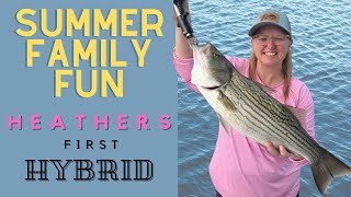 Fishing for Hybrid Striper (Trolling for Hybrids w/ Live Bait Captain Macks Perfect Planer Boards) by MERCER OUTDOORS 448 views 1 year ago 5 minutes, 53 seconds