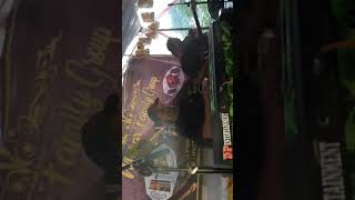 Elli Kharisma Feat Ugun Dugul Eling Pabuburit