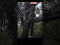 Aura Of Crocodile 999999+💀🔥😂 #shorts #freefire #aura #crocodile #shortsfeed