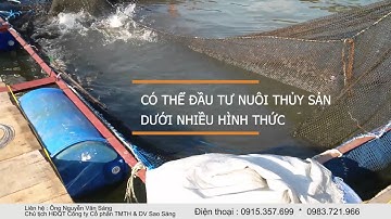 TIỀM NĂNG NUÔI TRỒNG THỦY SẢN TẠI HỒ NÚI CỐC