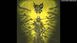 Watch Defeated Sanity Verblendung video