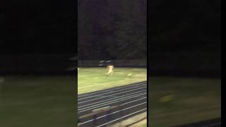 IMG 9841
