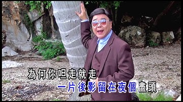 你说走就走 (潮州语) - 林云