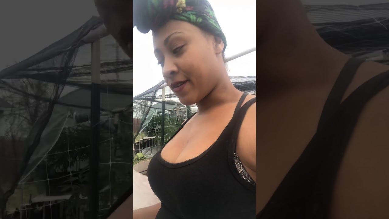 Refreshing the soil for my outdoor Marijuana grow part 1