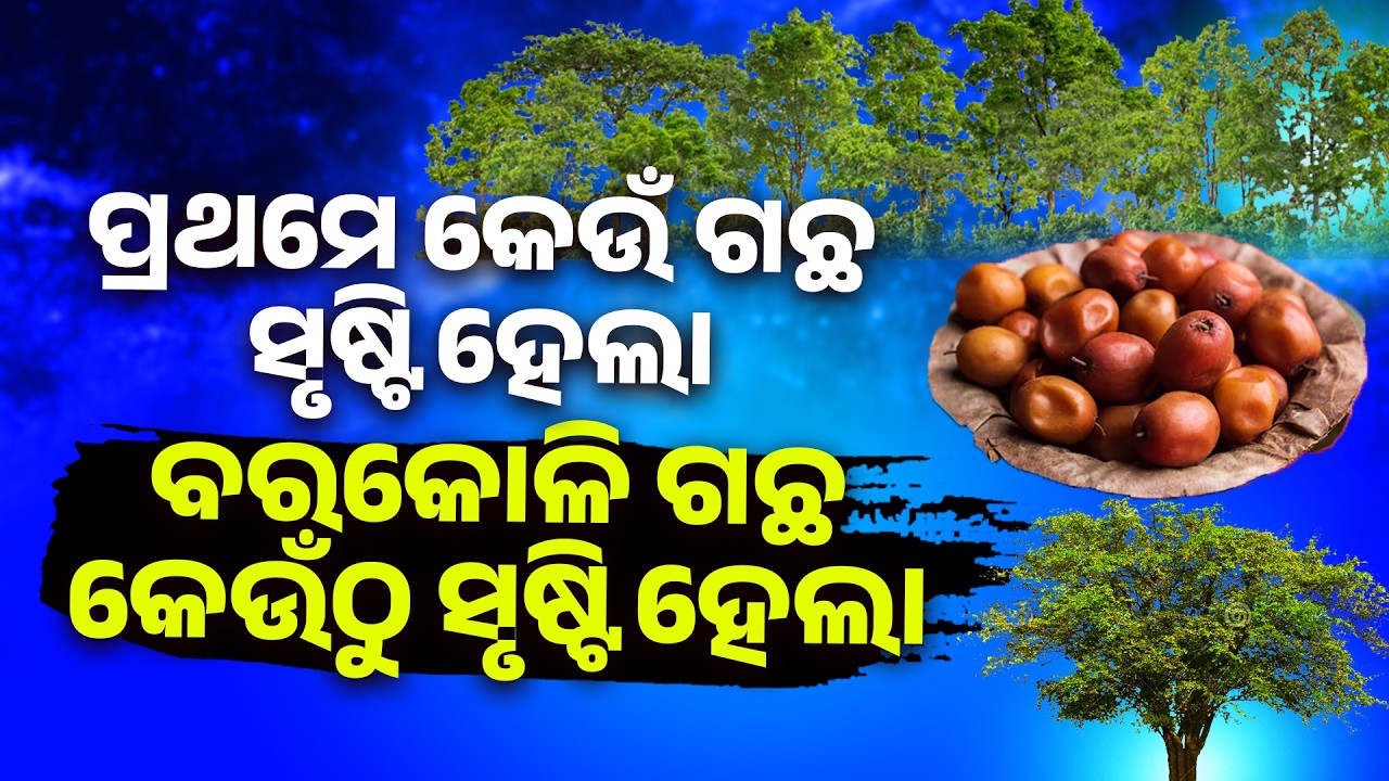 ପ୍ରଥମେ କେଉଁ ଗଛ ସୃଷ୍ଟି ହେଲା ବରକୋଳି ଗଛ କେଉଁଠୁ ସୃଷ୍ଟି ହେଲା ||Keun Gachha Prathame Srusti Hela ||