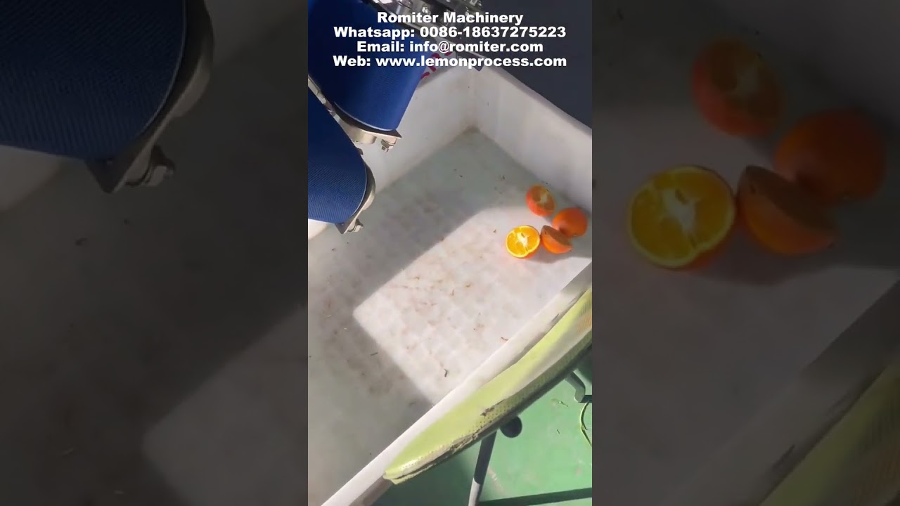 Automatic Lemon Half Cutting Machine for Sale