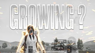 Royality Is Back Frostimer