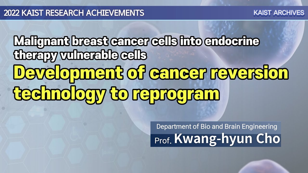 Nanotechnology In Cancer Treatment Ppt