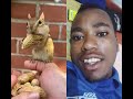 chipmunk N long peanut!🐿️🥰