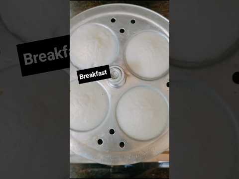 Homemade idlis made
