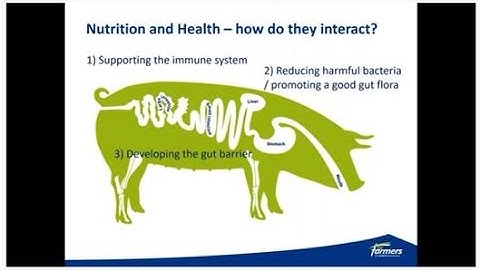 Health and antibiotics, keeping the balance