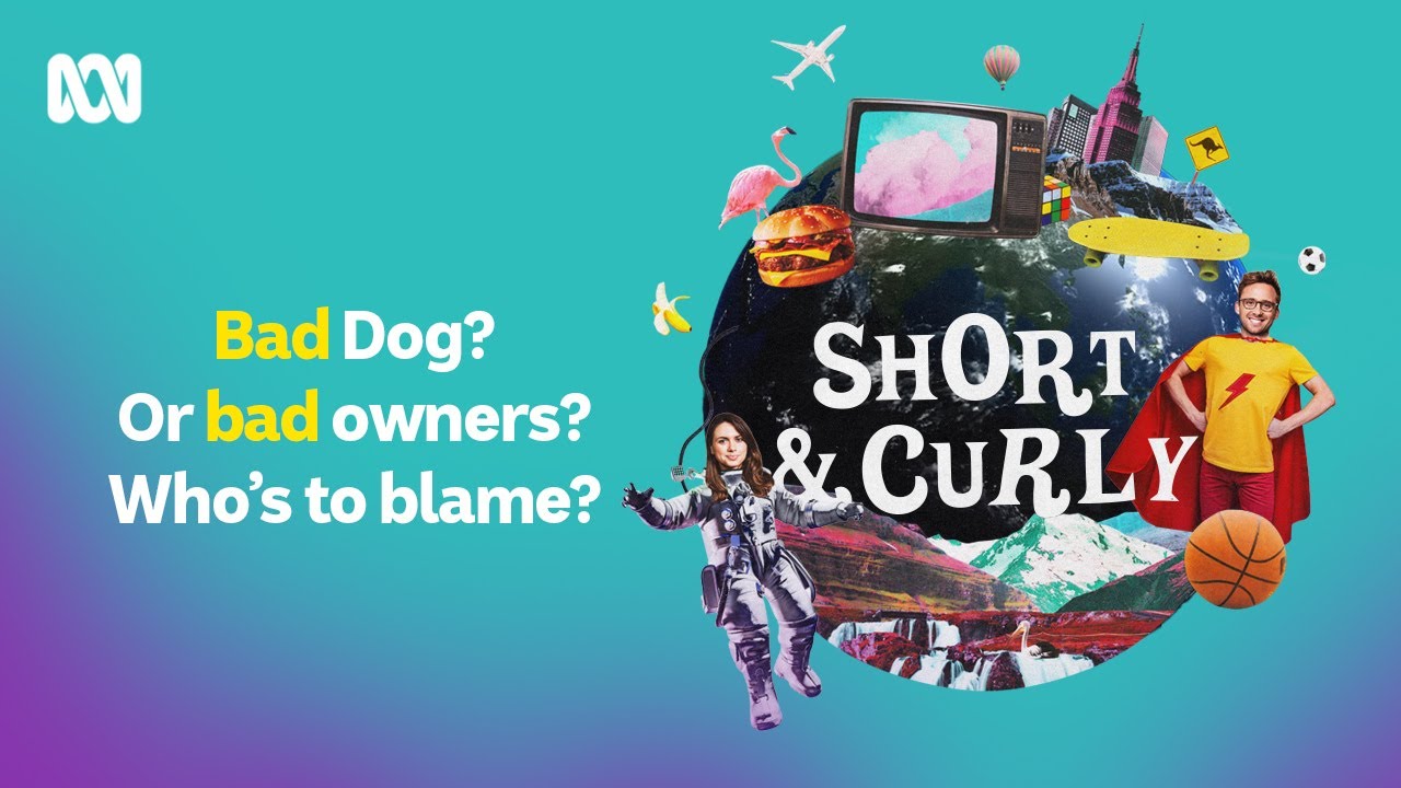 Bad dog or bad owner? Who’s really to blame? | Short & Curly | ABC Big Kids