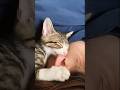 Als ich es im Schlaf ansah, war meine Angst sofort verschwunden #cats #cat #cute #katze #katzen