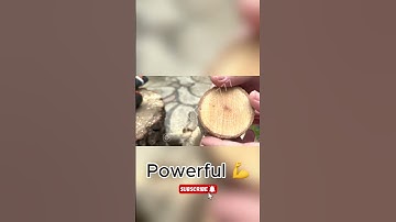 Satisfying Chainsaw ASMR 😍 #shorts  #diy #beautifultools