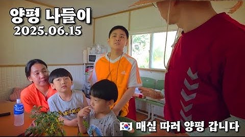 🇰🇷 양평 가족 나들이 매실 따러 갑니다 We go to Yangpyeong for a family outing to pick plums.