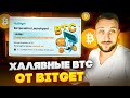 Получаем Биткоины каждый час на Bitget / Новый Launchpool