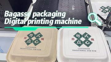 Bagasse food container digital printing machine，CSJ210A digital printer for paper food boxes