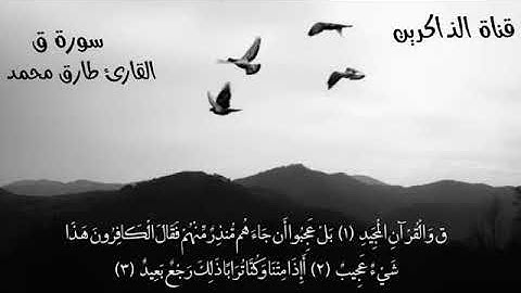 سورة ق بصوت القارئ طارق محمد