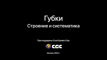 Губки: строение и систематика.