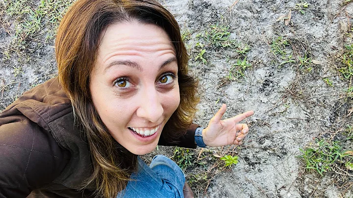 5 Super Easy Ways To Amend Sandy Soil