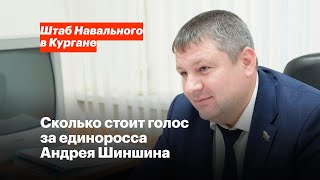 Сколько Стоит Голос За Единоросса Андрея Шиншина?